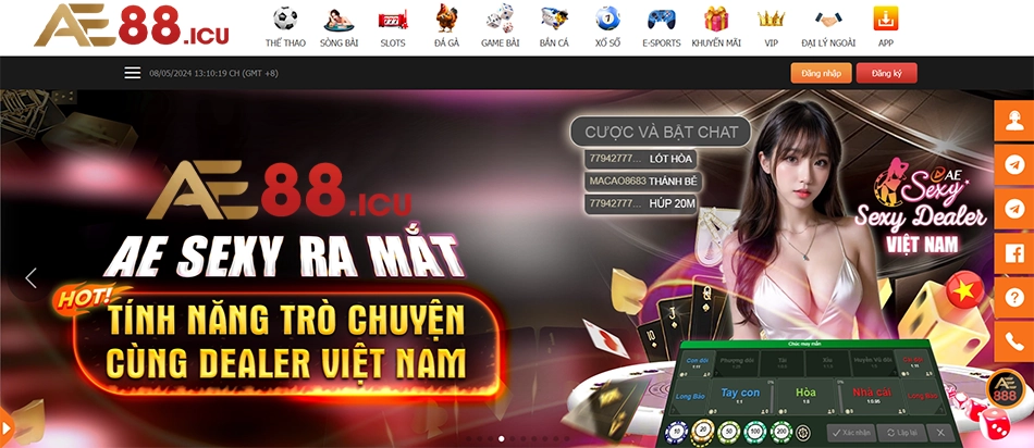 những Tầm quan trọng của việc tuân thủ Điều khoản và Điều kiện ae88